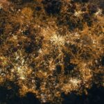 Cordyceps fungus network spreading underground in The Last of Us, highlighting the series' unique biological horror and visual storytelling.