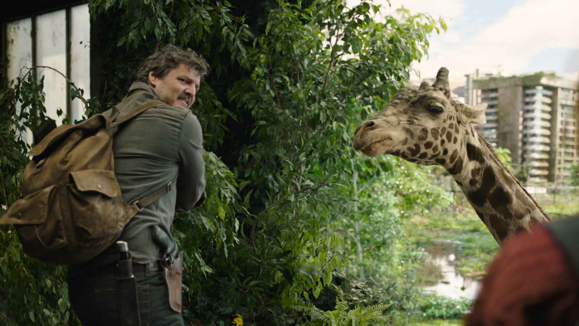 Joel turns to face a real giraffe in an overgrown building, surrounded by lush greenery and distant cityscape.